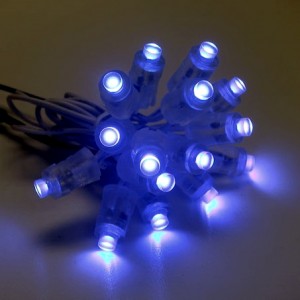 LED Chain Mini 5.5mm dia (Various Colours)