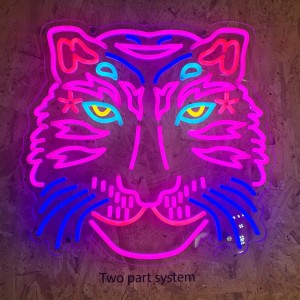 Two-Part Neon Flex (5m)