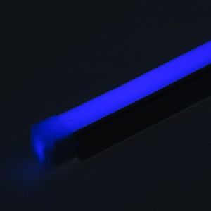 Neon Flex 12mm Straight Edged (1m)